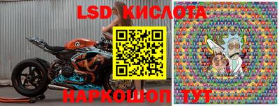 шишки Краснодар