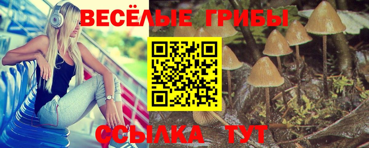 Галлюциногенные грибы прущие грибы Донской